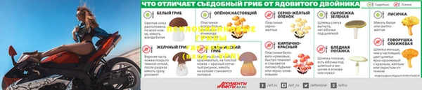PSILOCYBIN Тобольск
