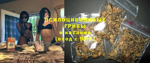 PSILOCYBIN Тобольск