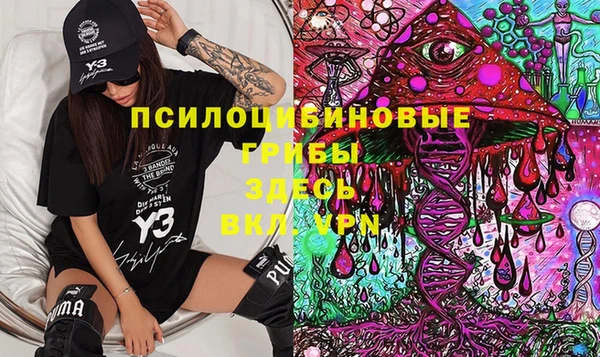 PSILOCYBIN Тобольск