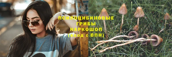 гашик Тихорецк