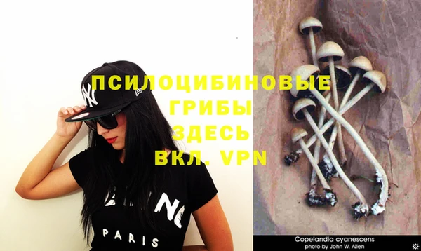 PSILOCYBIN Тобольск